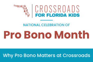 19 – Why Pro Bono Matters
